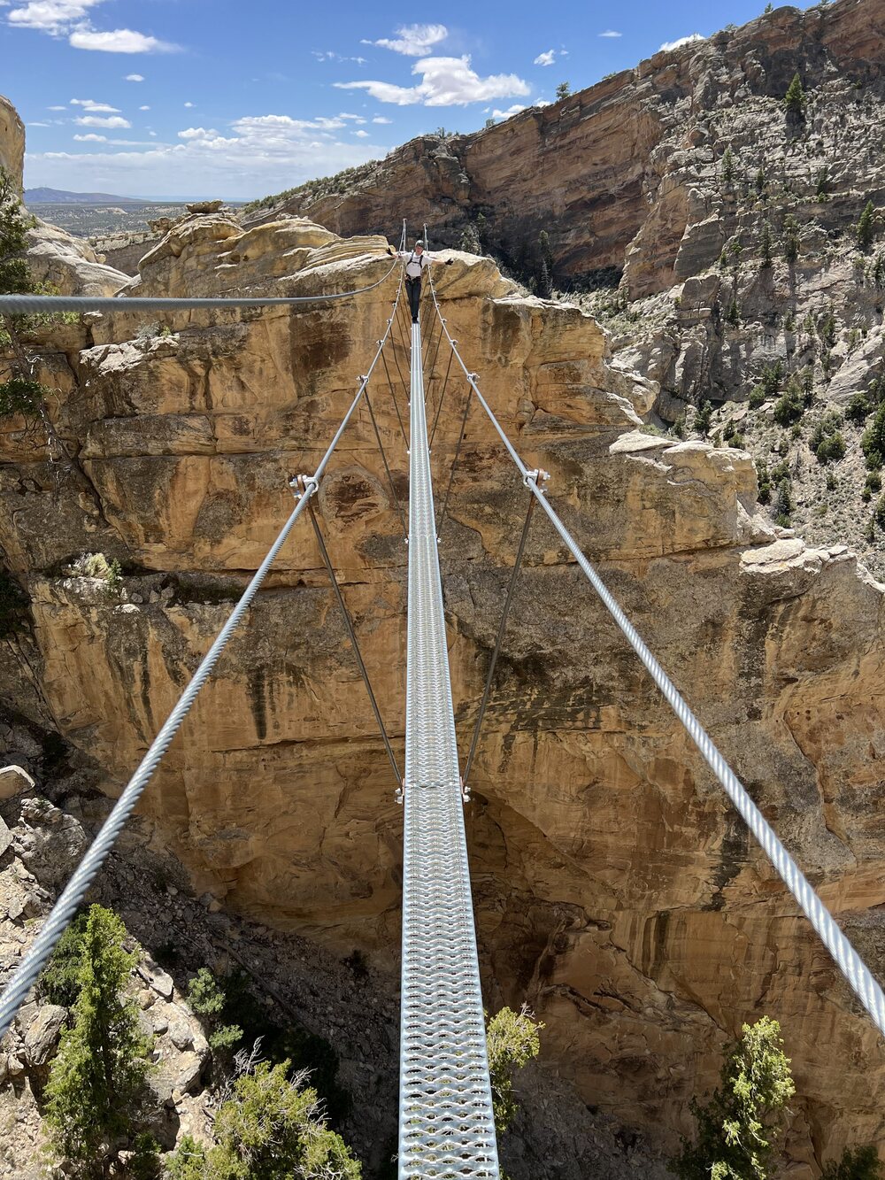 Suspension Bridge